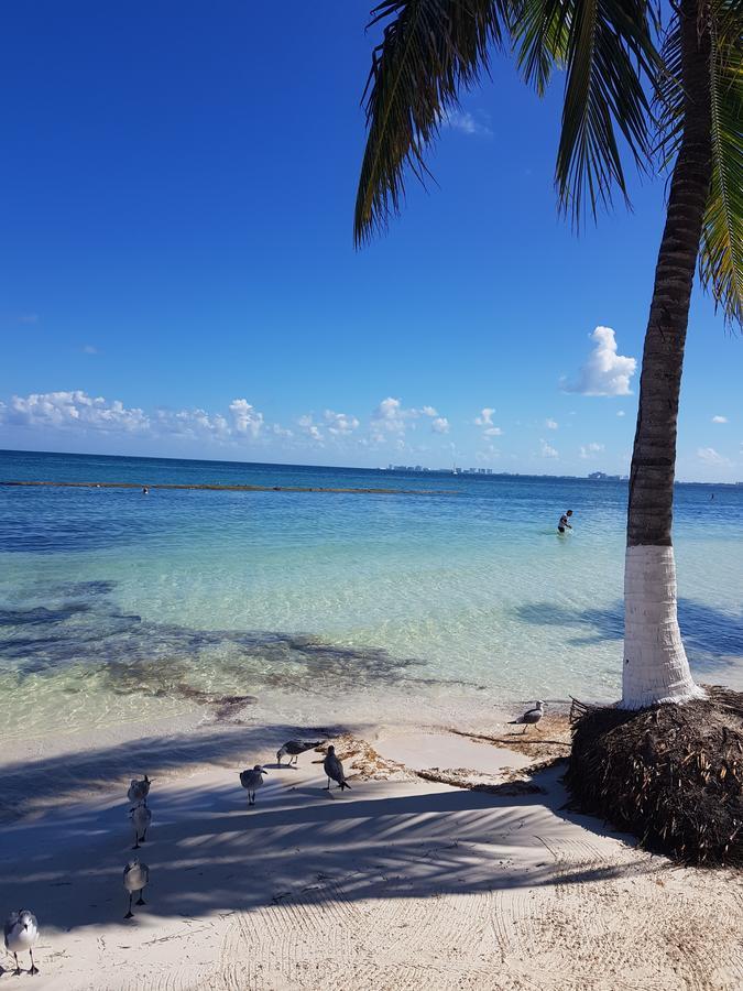 Suite Frente Al Mar Cancún Eksteriør billede